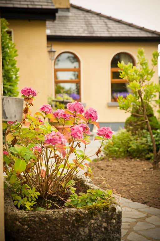 Newmarket-on-Fergus Cahergal Farmhouse B&B מראה חיצוני תמונה